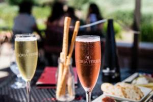 世界杯助手，科技助力足球界世界杯助手