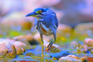 世界杯出线出局,球队背后的策略与挑战世界杯出线出局