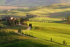 世界杯赛场上的那股压力世界杯在那压